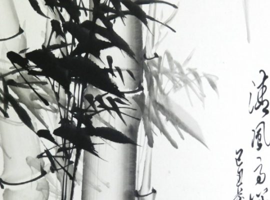 Pictura chinezeasca – Bambus alb/negru (cod B70-4)