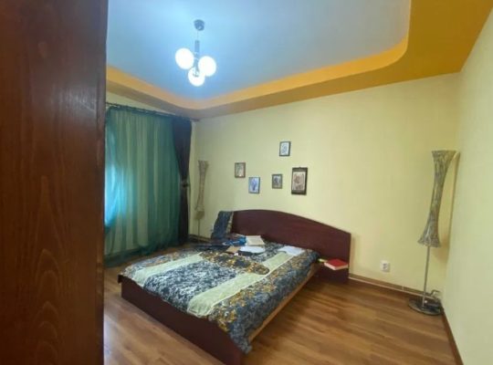 Superb – Casa P+1+M, 1000mp teren, zona Valea Lupului str. Victoriei