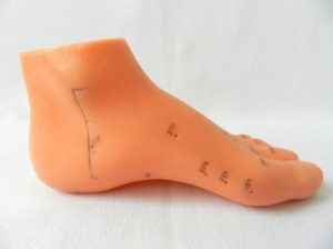 Model picior studiu acupunctura (cod S02)