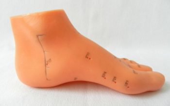 Model picior studiu acupunctura (cod S02)