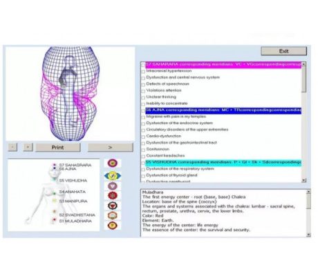 9D-BIOPLASM – Aparat de diagnoza si tratament prin biorezonanta magnetica(cod E42)