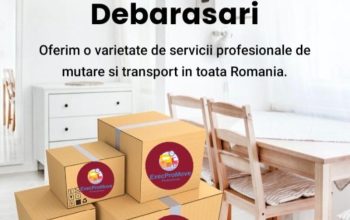 ExpertMove – Mutari, transport, relocari sedii, birouri si locuinte